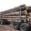 Hêtre en grume – Camion de 50 stères – 2449,99€ TTC