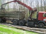 Châtaignier en grume – Camion de 50 stères – 1 750€ TTC
