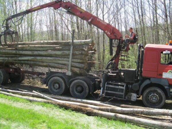 Châtaignier en grume – Camion de 50 stères – 1 750€ TTC