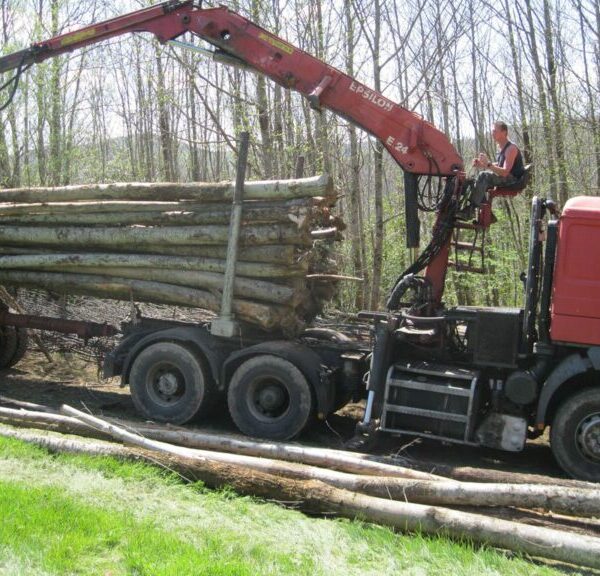 Châtaignier en grume – Camion de 50 stères – 1 750€ TTC